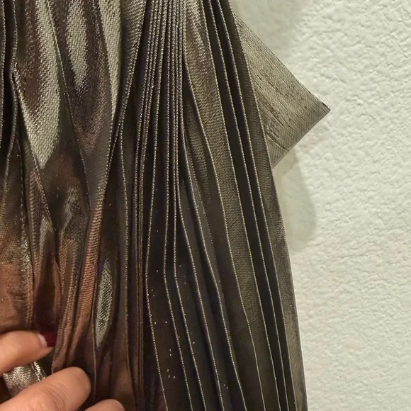 Maria Lucia Hohen Glamorous Metallic Maxi Dress - Picture 9 of 9